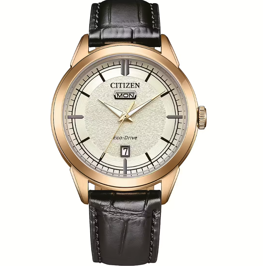 Orologio Citizen Eco Drive Day Date AW0153-04A