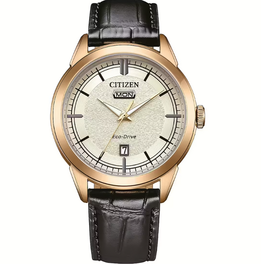 Orologio Citizen Eco Drive Day Date AW0153-04A